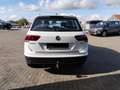 Volkswagen Tiguan 2.0TDI Comfortline 4Motion Autom./AHK/SHZG Blanc - thumbnail 4
