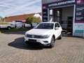 Volkswagen Tiguan 2.0TDI Comfortline 4Motion Autom./AHK/SHZG Blanc - thumbnail 3