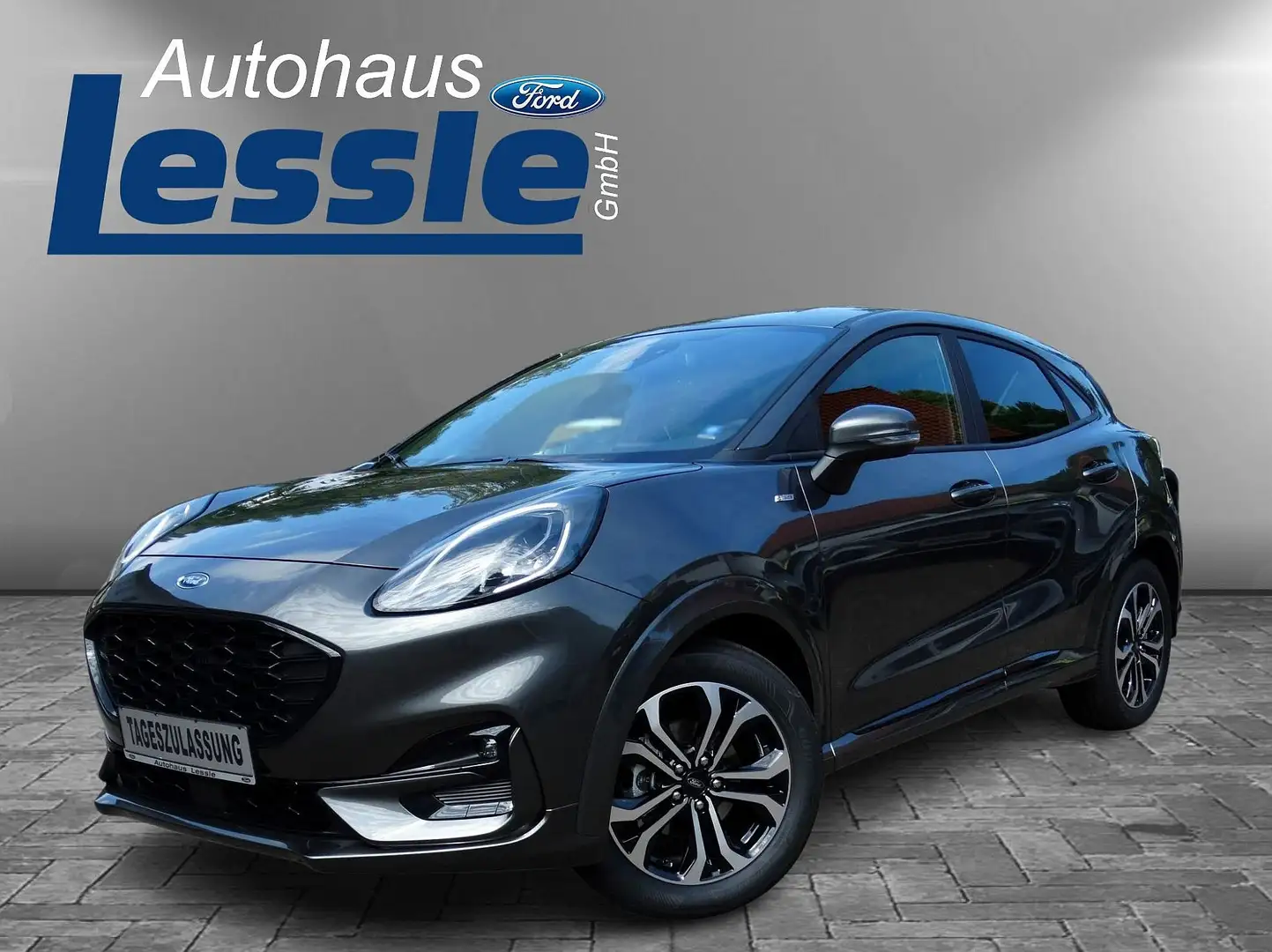 Ford Puma ST-Line Navi/Winter-Paket/Komfort-Paket Grigio - 1