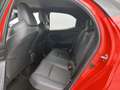 Toyota Yaris 1.5 Hybrid Launch Edition | Apple Carplay/Android Rood - thumbnail 17