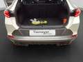 CUPRA Formentor 1.4 eHybrid VZ LED NAVI KAMERA LM19 Weiß - thumbnail 17