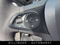 Opel Combo 1.5D Cargo KLIMA Tempomat PDC LKW *56tkm* Weiß - thumbnail 11