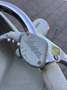 Vespa Faro basso met sidecar Beige - thumbnail 19