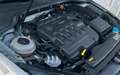 Volkswagen Golf 1.6 tdi dsg neopatentati promo Grigio - thumbnail 14
