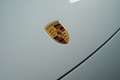 Porsche Macan 4 Grau - thumbnail 6