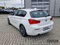 BMW 116 i/24 Monate BMW Premium Selection Garantie Weiß - thumbnail 6