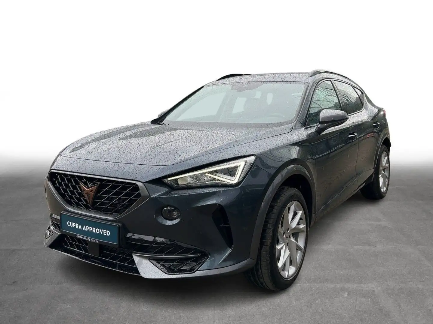 CUPRA Formentor 1.5 TSI DSG Climatronic LED SHZ PDC Gris - 2