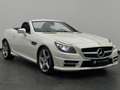Mercedes-Benz SLK 250 SLK 250 7G-TRONIC AMG +H/K+ILS+LEDER+SCARF+NAVI+ White - thumbnail 5