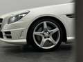 Mercedes-Benz SLK 250 SLK 250 7G-TRONIC AMG +H/K+ILS+LEDER+SCARF+NAVI+ Wit - thumbnail 17