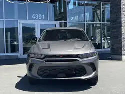 Dodge Hornet 2024