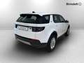 Land Rover Discovery Sport 2.0D I4-L.Flw 150 CV AWD Auto S Blanc - thumbnail 4