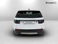 Land Rover Discovery Sport 2.0D I4-L.Flw 150 CV AWD Auto S Blanc - thumbnail 7