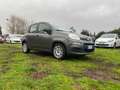 Fiat Panda 2021 * 5 Posti * Unico-Proprietario Gris - thumbnail 3