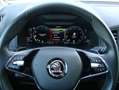 Skoda Karoq 2.0TDI Style 4x4 ACC Columbus Leder AHK Schwarz - thumbnail 10