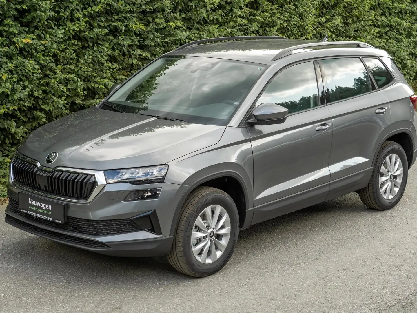 Skoda Karoq Selection 4x4 TDI mit AHK Grau - 1