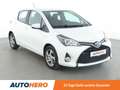 Toyota Yaris 1.5 Hybrid Edition-S Aut*CAM*KLIMA*GARANTIE* Weiß - thumbnail 8