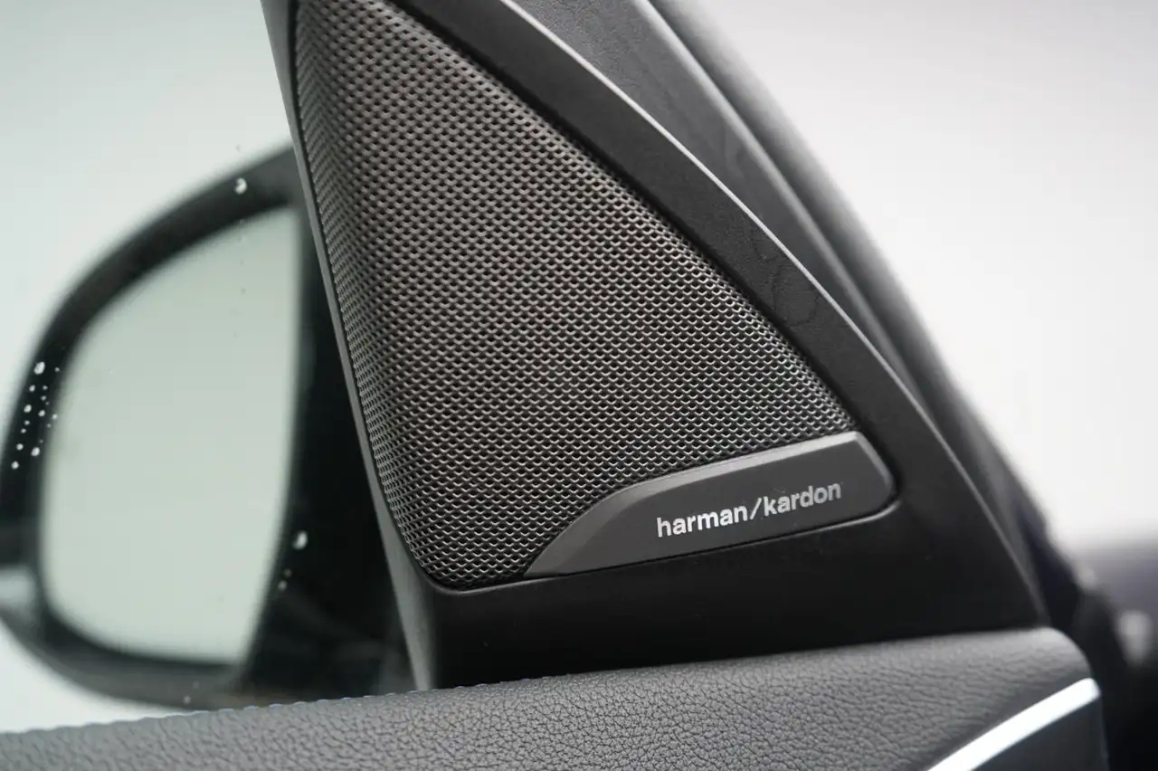 BMW X4 d M-Sport Leder/ACC/Kamera/HUD/Pano/H&K/S, миниатюра 25