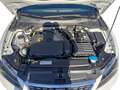 SEAT Leon Xcellence 1.5 TSI DSG, 2xPDC/LED/NAVI/SHZ Weiß - thumbnail 12