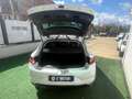 Renault Megane 1.5 dci energy Intens 110cv Bianco - thumbnail 17