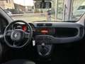 Fiat Panda 1.2 EasyPower Easy gpl PROMO CON FINAZIAMENTO Grigio - thumbnail 10