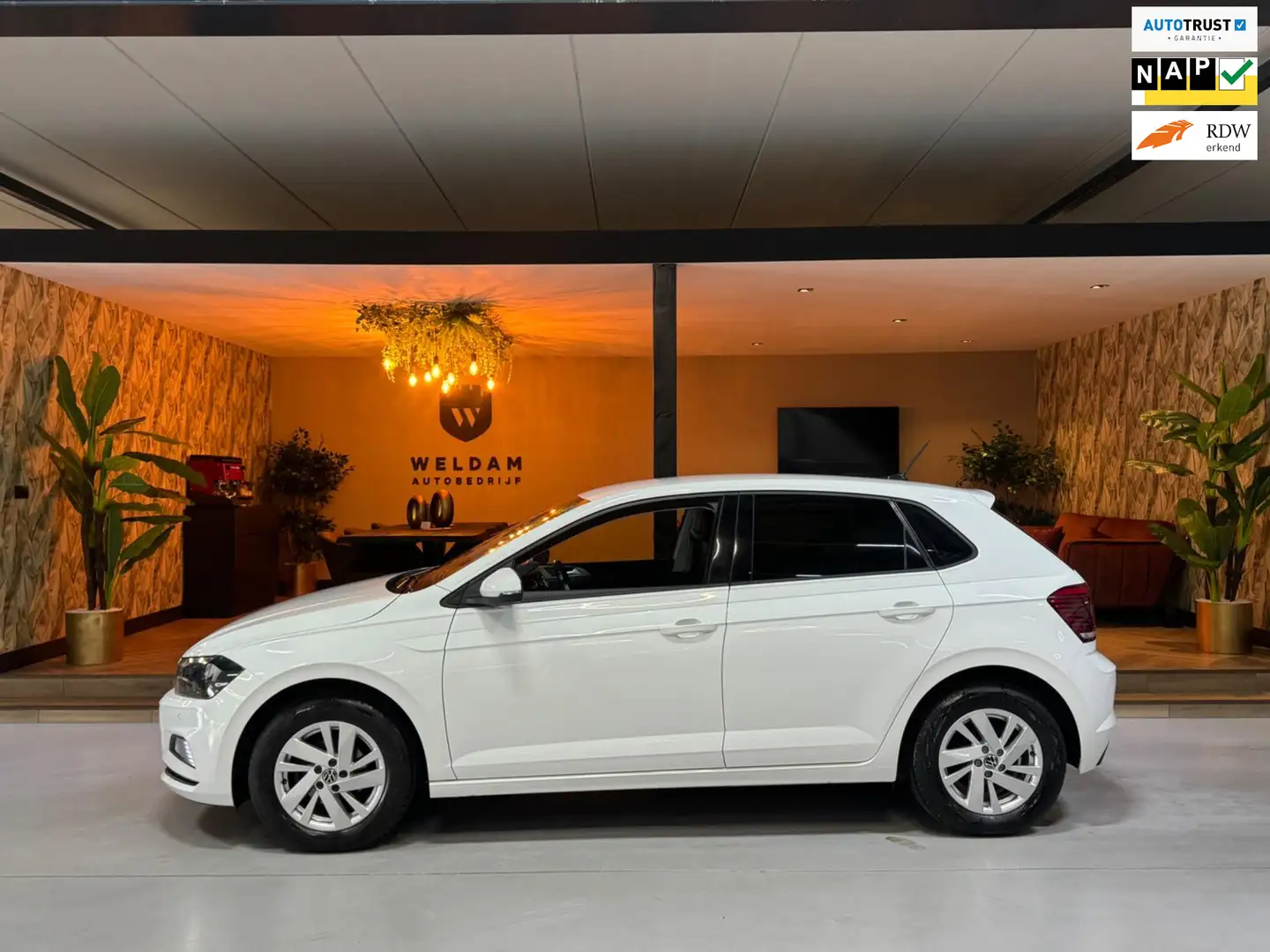 Volkswagen Polo 1.0 TSI Style Garantie CarPlay Adoptieve Cruise St White - 1