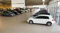 Volkswagen Golf VIII 2.0 TDI Life MOVE DSG+SHZ+DAB+USB+EPH+ Klima Grau - thumbnail 3