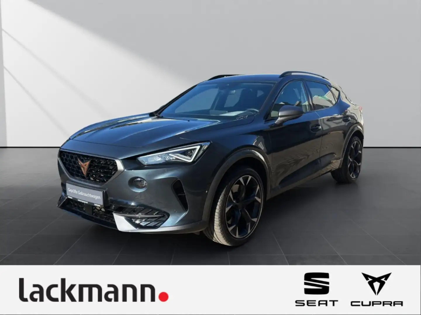 CUPRA Formentor 2.0 TSI VZ 4Drive *Navi*LED*Winter*ACC* Grau - 1