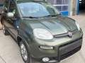Fiat Panda Panda 1.3 mjt 16v 4x4 75cv E5+ Verde - thumbnail 6
