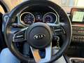 Kia Ceed / cee'd 1.4 t-gdi Business Class 140cv - thumbnail 12