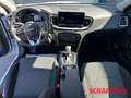 Kia Ceed SW / cee'd SW 1.5T DCT7 Vision Komfort Navi AHK Blanco - thumbnail 13