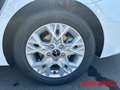 Kia Ceed SW / cee'd SW 1.5T DCT7 Vision Komfort Navi AHK Blanco - thumbnail 14