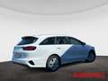 Kia Ceed SW / cee'd SW 1.5T DCT7 Vision Komfort Navi AHK Blanco - thumbnail 6