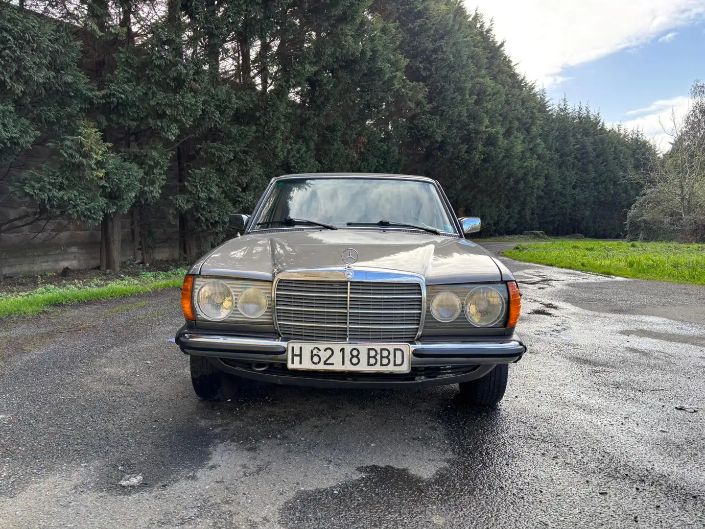 Mercedes-Benz 300 W123 300D Gris - 1