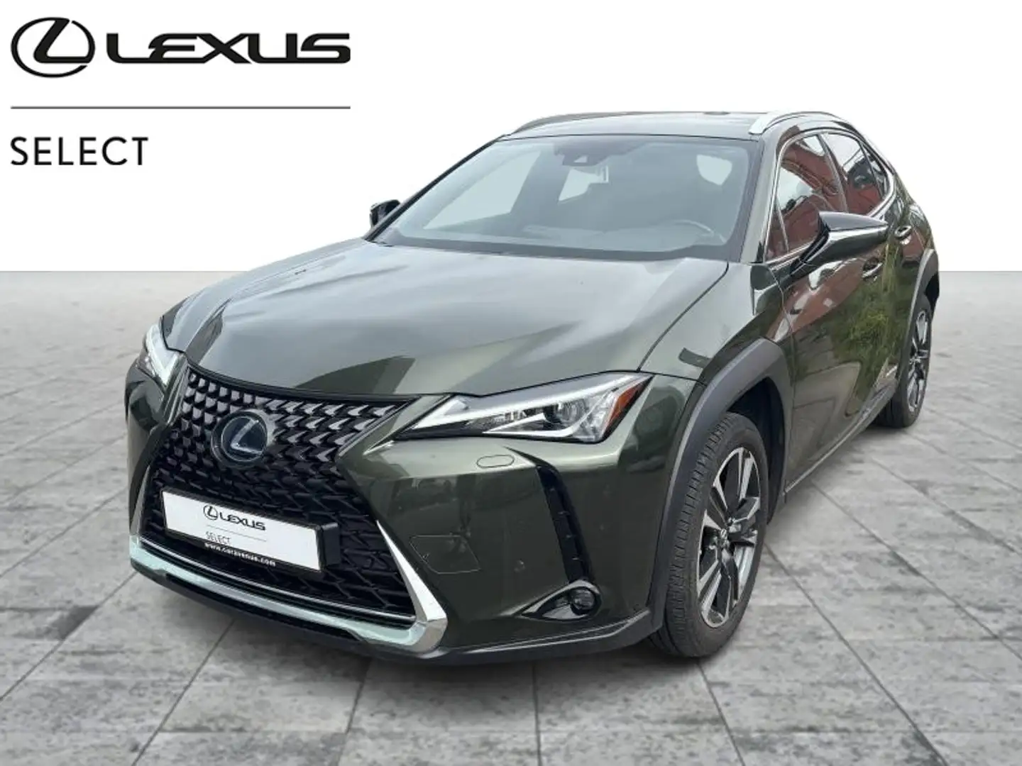 Lexus UX 250h Executive Line Vert - 1