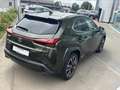 Lexus UX 250h Executive Line Vert - thumbnail 5