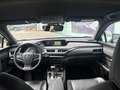 Lexus UX 250h Executive Line Vert - thumbnail 14