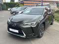 Lexus UX 250h Executive Line Vert - thumbnail 19