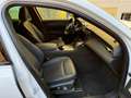 Maserati Grecale Grecale 2.0 mhev GT 250cv Panorama auto Weiß - thumbnail 13