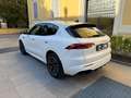 Maserati Grecale Grecale 2.0 mhev GT 250cv Panorama auto Weiß - thumbnail 5