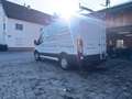 Ford Transit Transit Kasten 2,0 EcoBlue L2H2 Weiß - thumbnail 3