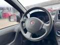 Fiat Panda 1.2 8V Classic Rot - thumbnail 8
