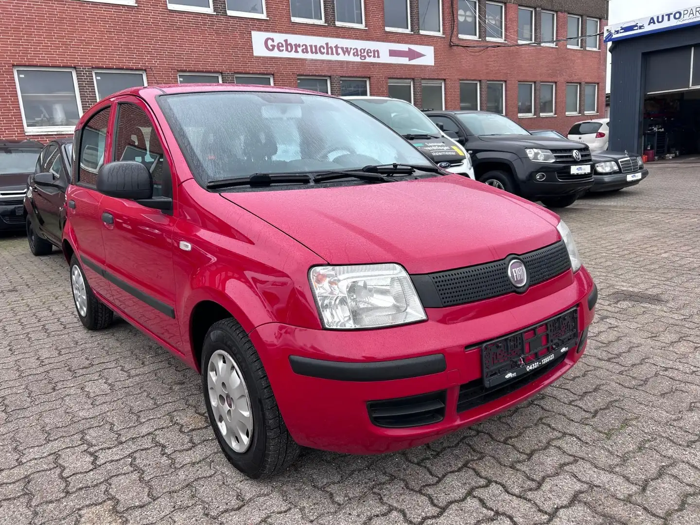 Fiat Panda 1.2 8V Classic Rot - 2