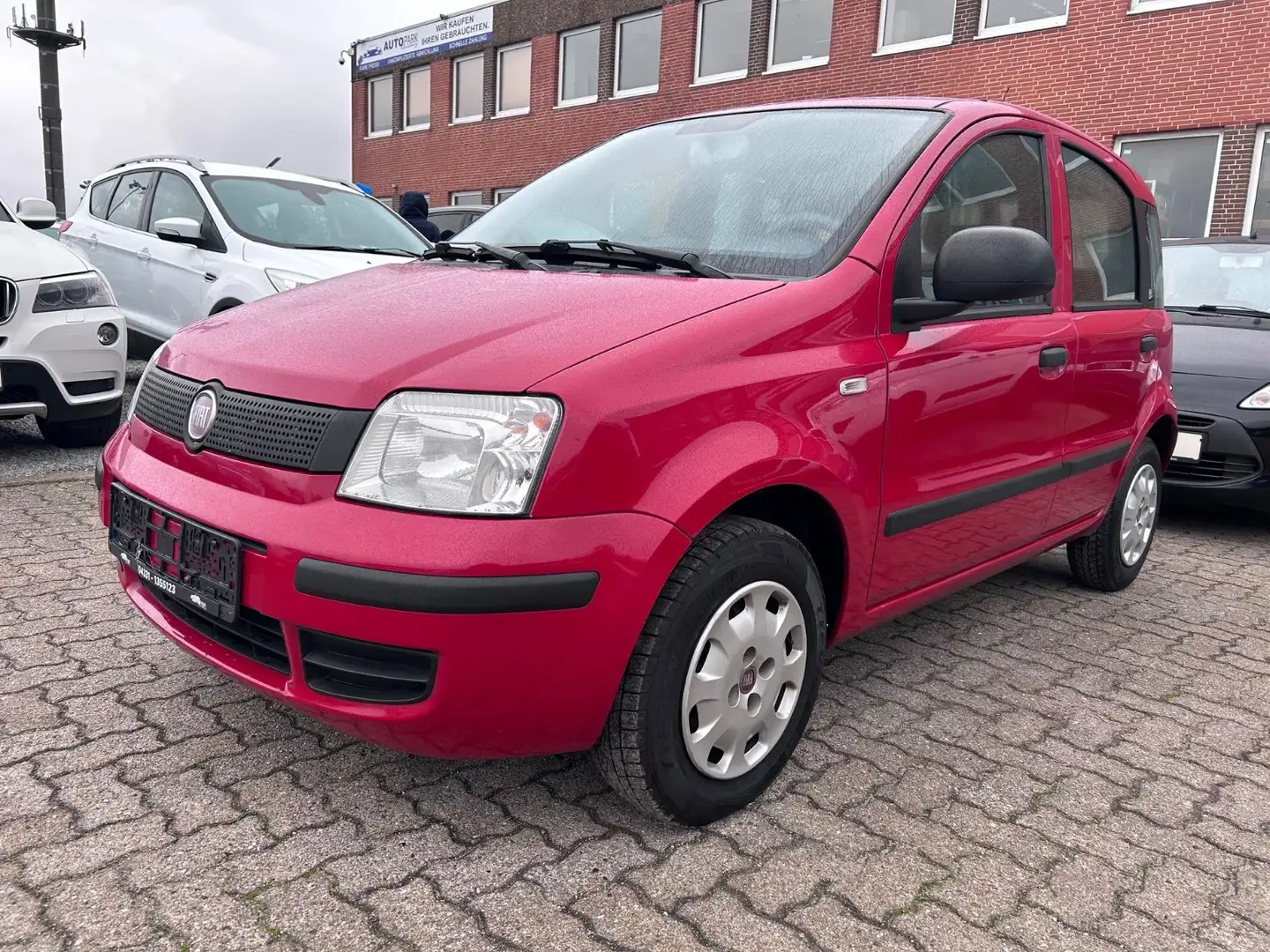 Fiat Panda 1.2 8V Classic Rot - 1