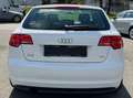 Audi A3 1.6 TDI Attraction Weiß - thumbnail 8