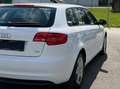Audi A3 1.6 TDI Attraction Weiß - thumbnail 7