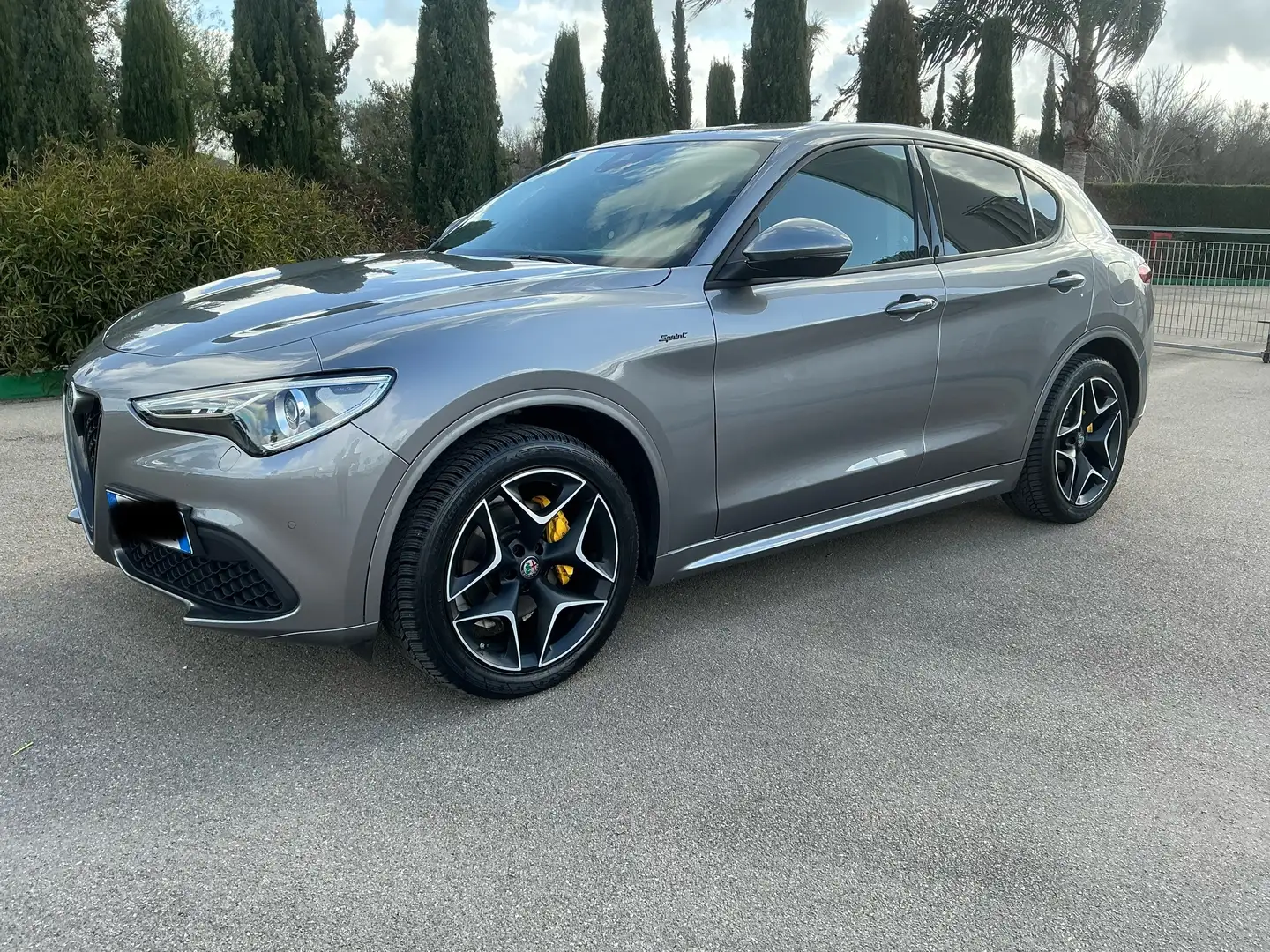 Alfa Romeo Stelvio Stelvio 2.2 t Sprint Q4 190cv auto Grigio - 1