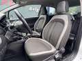 Fiat Punto Punto 1.3 MultiJet Lounge/MARCHAND/EXPORT/ Zilver - thumbnail 10