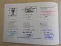 Porsche 996 911*Cabrio*Xen*Temp*Memo*Shz*Porsche SH voll Violet - thumbnail 41