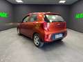 Kia Picanto Picanto III 2021 1.0 dpi Urban PREZZO REALE! Arancione - thumbnail 6