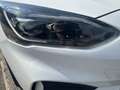Ford Focus Blanc - thumbnail 18